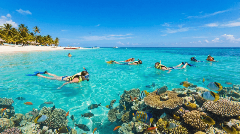 Catalina Island Snorkeling