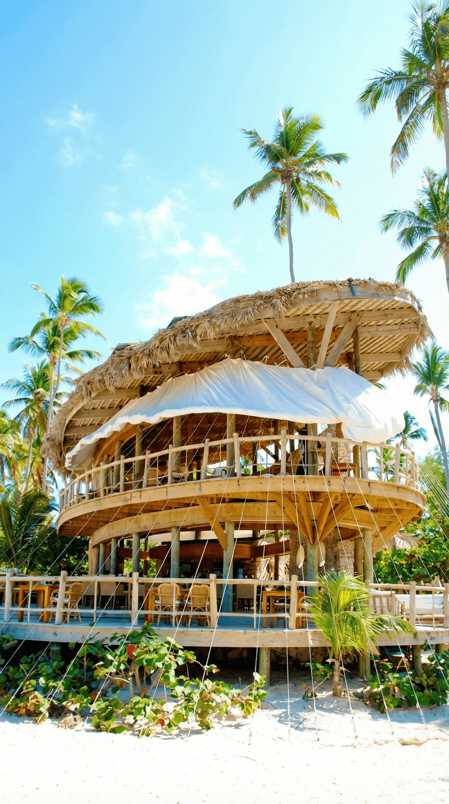 A secluded path leading to the beach with palm trees