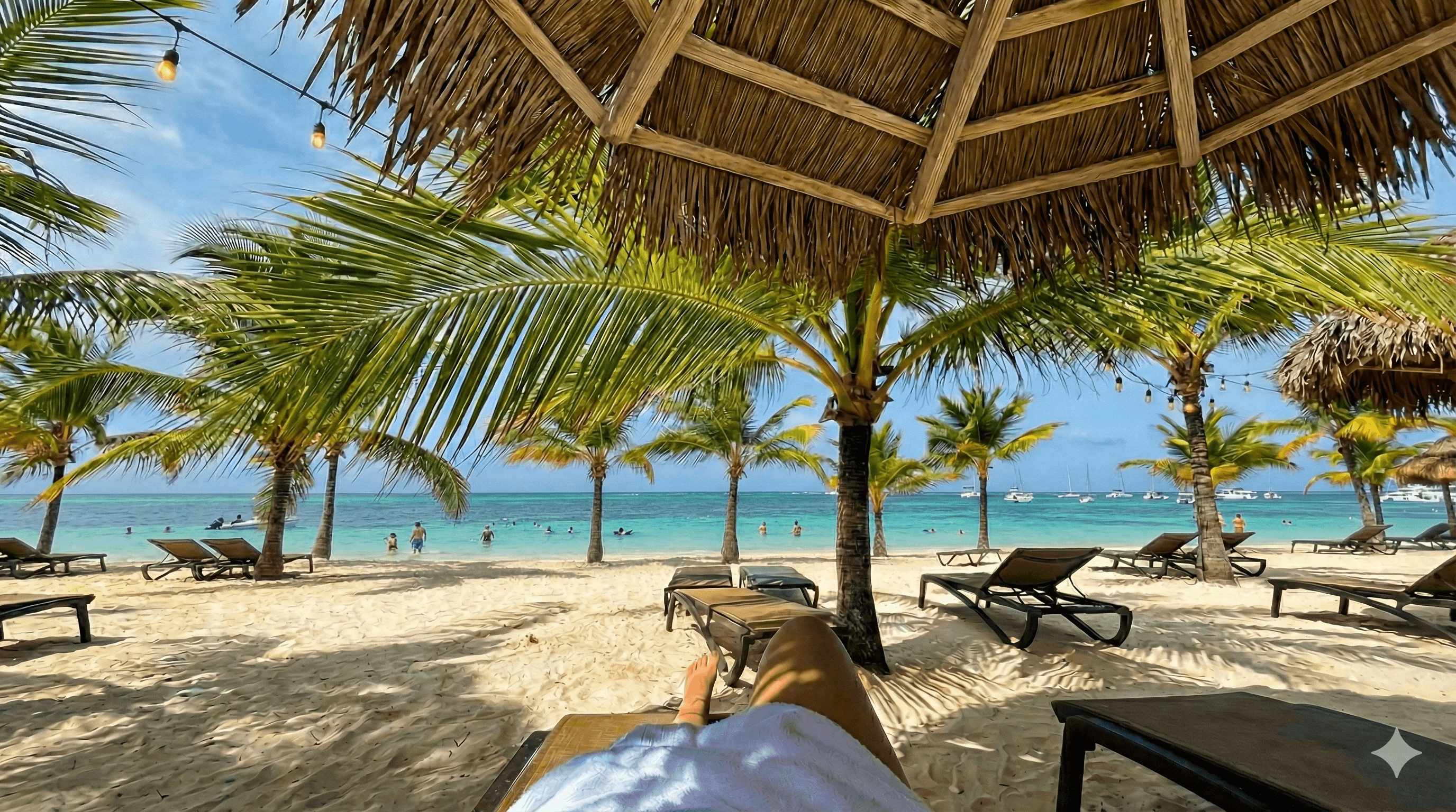 Aerial view of a tropical coastline
