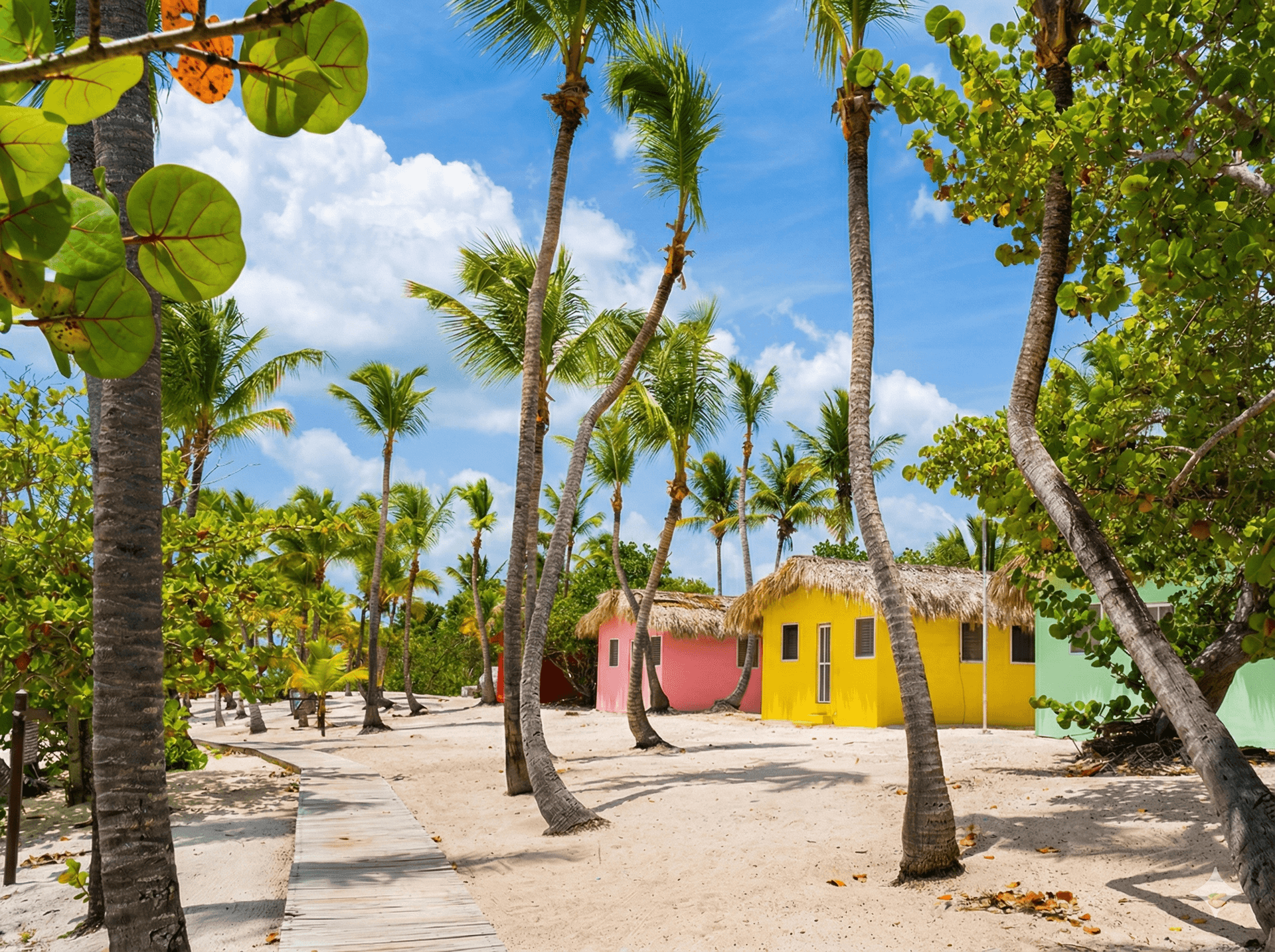 Catalina Island Snorkeling gallery image 2