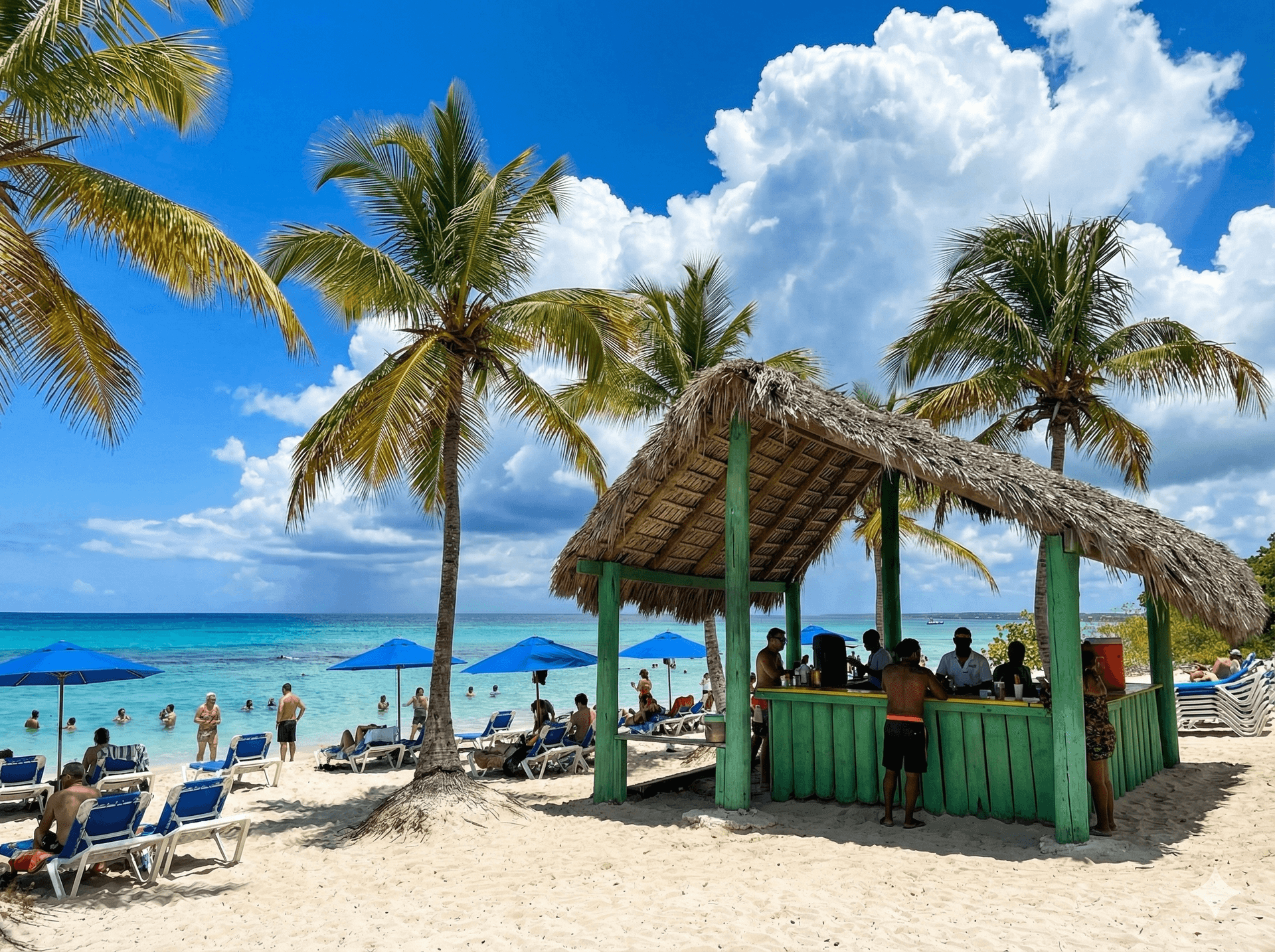 Catalina Island Snorkeling gallery image 4